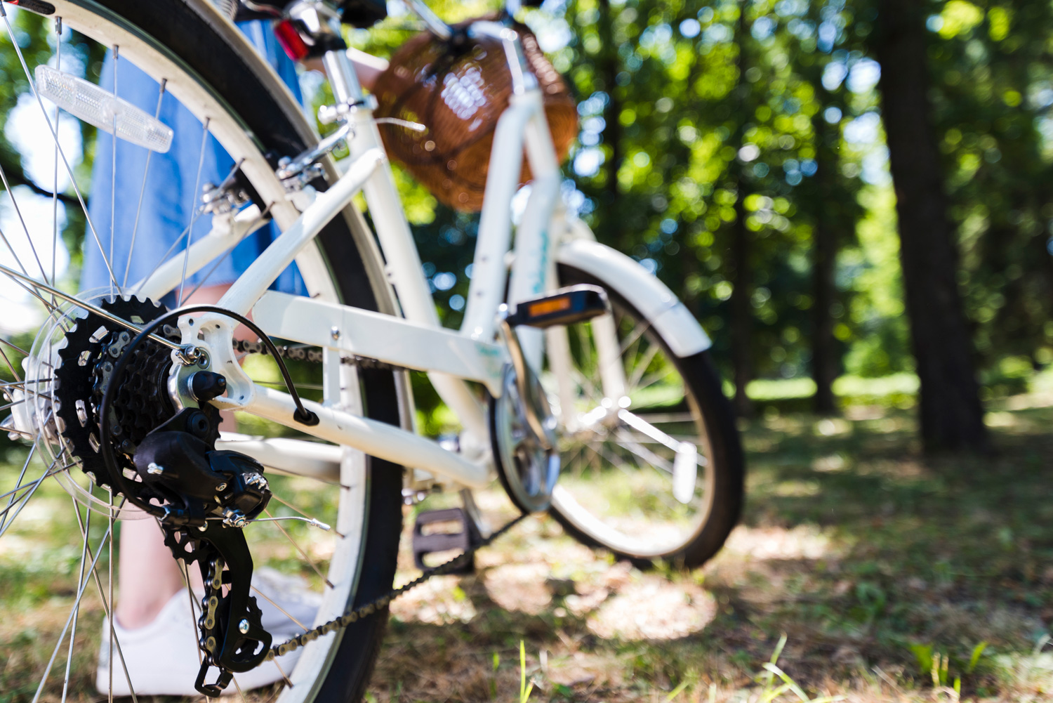 close-up-back-wheel-bike